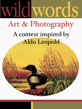 WWAP2013logo.jpg