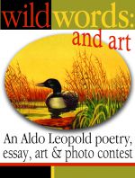wildwordslogo.jpg